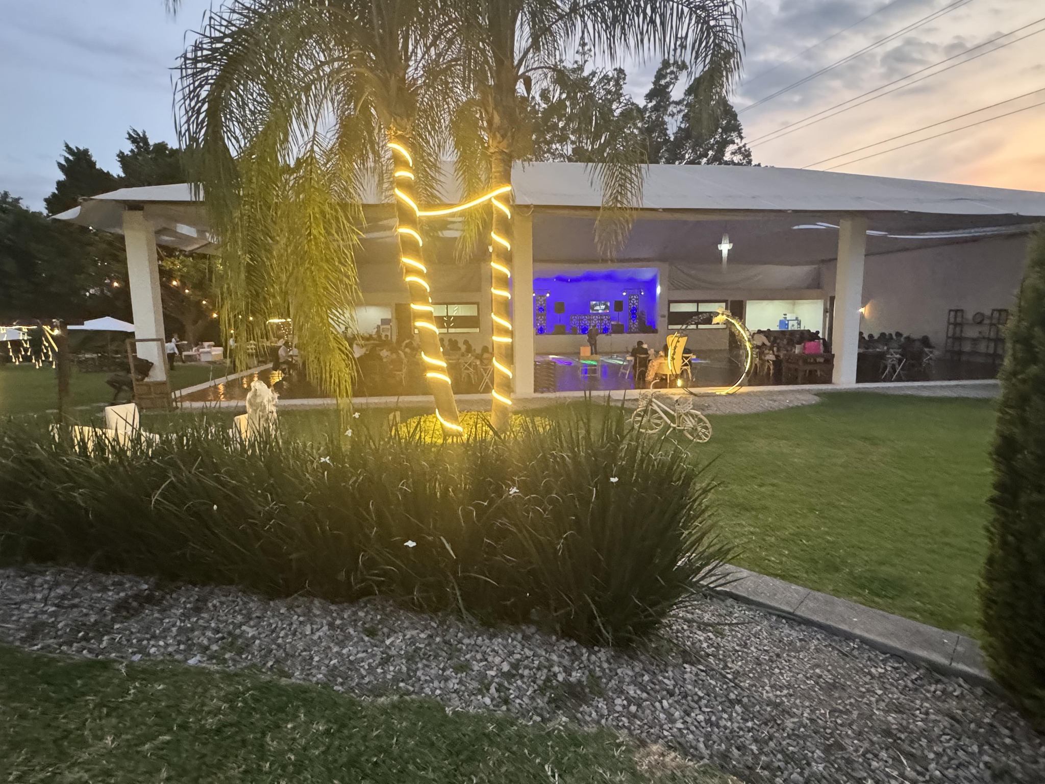 Jardín de noche iluminado